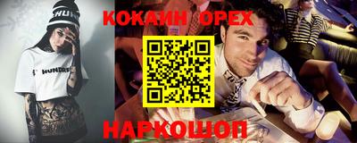 спайс Кингисепп