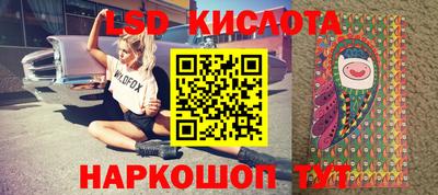 спайс Кингисепп