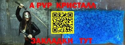 спайс Кингисепп