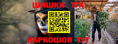 спайс Кингисепп