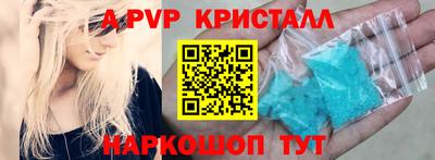 спайс Кингисепп