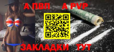 спайс Кингисепп