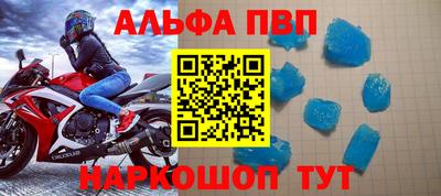 спайс Кингисепп