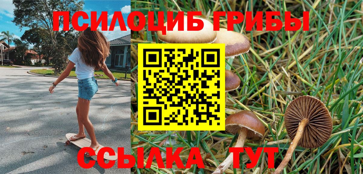 Псилоцибиновые грибы мицелий  Вход с VPN  Чистополь 